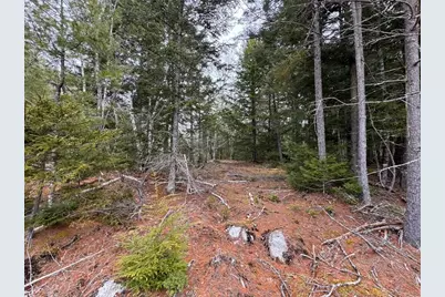 15 Bufford Drive, Waltham, ME 04605 - Photo 10