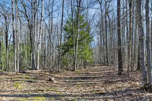 153 Stillwater Ave, Orono, ME 04473 - Photo 50