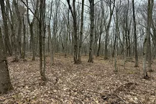 60 Mechanic Falls Rd, Poland, ME 04274 - Photo 52