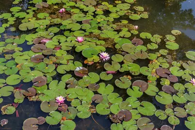 146 W Grand Avenue #74, Old Orchard Beach, ME 04064 - Photo 34