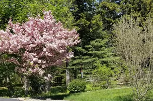 17 Mayflower Ln, Bar Harbor, ME 04609 - Photo 66