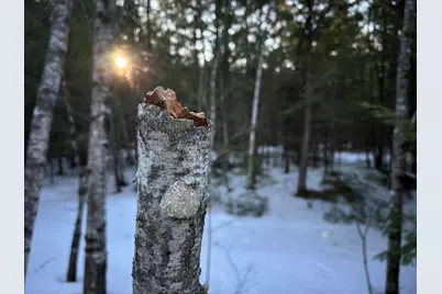 Map13Lot11 Field View Road, Fryeburg, ME 04037 - Photo 26