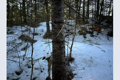 Map13Lot11 Field View Road, Fryeburg, ME 04037 - Photo 14