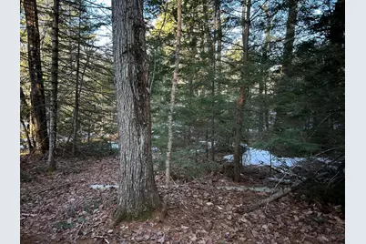 Map13Lot11 Field View Road, Fryeburg, ME 04037 - Photo 18