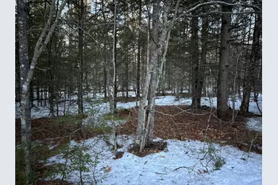 Map13Lot11 Field View Road, Fryeburg, ME 04037 - Photo 2