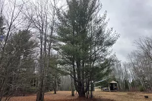 84 Hanscom Rd, Whitneyville, ME 04654 - Photo 34
