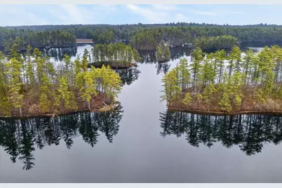 0 Lamb Chop & Picnic Island Island, Acton, ME 04001 - Photo 12