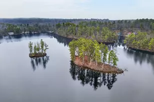 0 Lamb Chop & Picnic Island Island, Acton, ME 04001 - Photo 1
