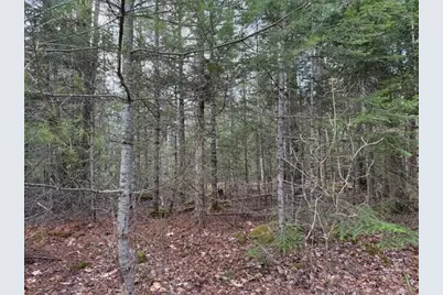 0 N Range Road N, Blue Hill, ME 04614 - Photo 10