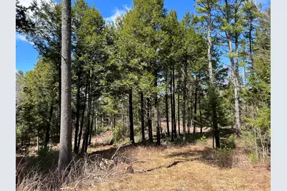 Lot 1 Waldoboro Road, Washington, ME 04574 - Photo 18