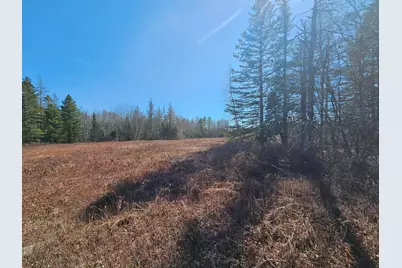 83 Willey District Road, Harrington, ME 04643 - Photo 54
