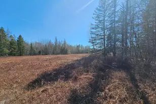 83 Willey District Rd, Harrington, ME 04643 - Photo 54