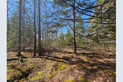 83 Willey District Road, Harrington, ME 04643 - Photo 50