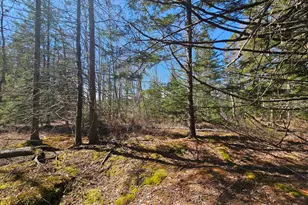 83 Willey District Rd, Harrington, ME 04643 - Photo 50