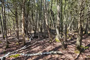 83 Willey District Rd, Harrington, ME 04643 - Photo 44