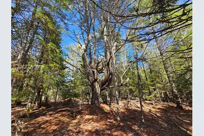83 Willey District Road, Harrington, ME 04643 - Photo 48