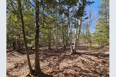 83 Willey District Road, Harrington, ME 04643 - Photo 6