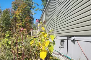 154 Staples Rd, Newfield, ME 04095 - Photo 10