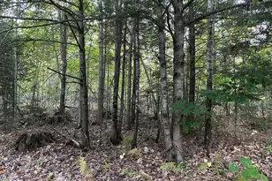 571 Back Rd, Skowhegan, ME 04976 - Photo 34