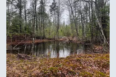 So 001 Plan 2 Lot 16.1 Long Falls Dam Road, Limington, ME 04961 - Photo 6