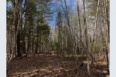 So 001 Plan 2 Lot 16.1 Long Falls Dam Road, Limington, ME 04961 - Photo 12