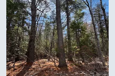 So 001 Plan 2 Lot 16.1 Long Falls Dam Road, Limington, ME 04961 - Photo 10