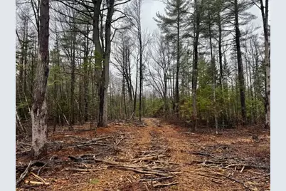 So 001 Plan 2 Lot 16.1 Long Falls Dam Road, Limington, ME 04961 - Photo 26