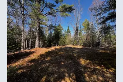 So 001 Plan 2 Lot 16.1 Long Falls Dam Road, Limington, ME 04961 - Photo 2