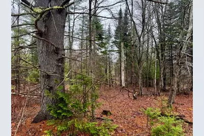 So 001 Plan 2 Lot 16.1 Long Falls Dam Road, Limington, ME 04961 - Photo 18