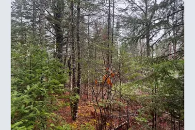 So 001 Plan 2 Lot 16.1 Long Falls Dam Road, Limington, ME 04961 - Photo 20