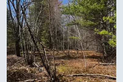 So 001 Plan 2 Lot 16.1 Long Falls Dam Road, Limington, ME 04961 - Photo 14