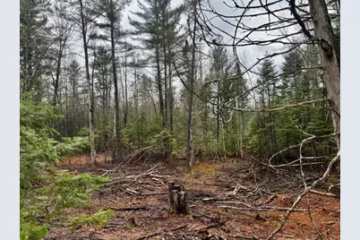 So 001 Plan 2 Lot 16.1 Long Falls Dam Road, Limington, ME 04961 - Photo 16