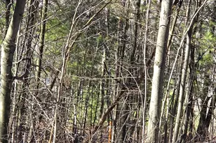 46 Fourth St, Mexico, ME 04257 - Photo 8
