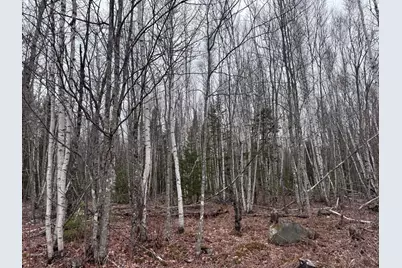36 Otter Trail, Greenbush, ME 04418 - Photo 12