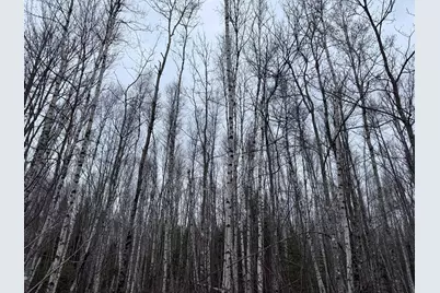 36 Otter Trail, Greenbush, ME 04418 - Photo 1