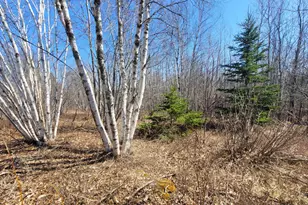 29 Reef Point Rd, Addison, ME 04606 - Photo 6