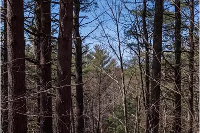 471 Bisbeetown Road, Waterford, ME 04088 - Photo 12