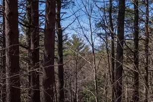 471 Bisbee Town Rd, Waterford, ME 04088 - Photo 12