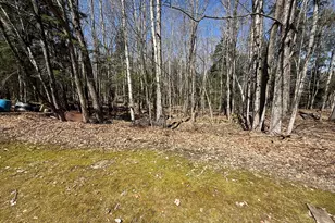 21 Curtis Rd, Freeport, ME 04032 - Photo 16