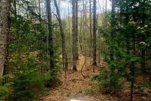 287 NW River Rd, Sebago, ME 04029 - Photo 56
