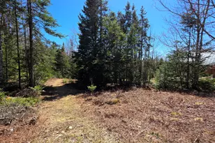 170 Ocean View Rd, Jonesboro, ME 04648 - Photo 48