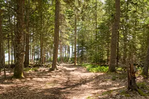 0 Northern Point, Bremen, ME 04551 - Photo 36