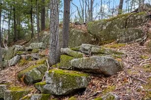 7 Johnnys Wy, York, ME 03902 - Photo 60
