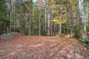 155 Long Point Way, Orland, ME 04472 - Photo 36