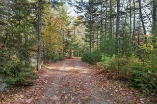 155 Long Point Way, Orland, ME 04472 - Photo 34
