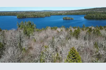 Lot 117N Long Lake Road, Wesley, ME 04686 - Photo 16