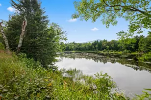 397 Pond Brook Rd, Magalloway Plt, ME 04970 - Photo 44