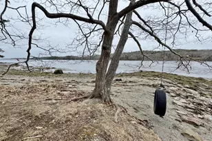 11 Woodbury Wy, Verona, ME 04416 - Photo 78