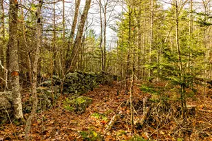 60 Doak Rd, Belfast, ME 04915 - Photo 32