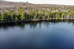 Lot 6 Bill Green Pond Rd, T3 R1 Nbpp, ME 04455 - Photo 6